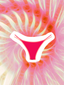 Bikini Pink Panthera - Braguita Básica