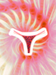Bikini Pink Panthera - Braguita Tanga