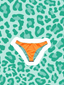ORANGE - Braguita