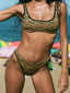 Zebra Sun - Sport Bikini Top