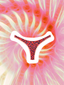 Bikini Pink Panthera - Braguita Brasilia